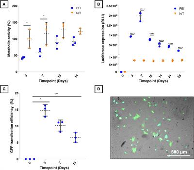 Non-viral Gene Delivery of Interleukin-1 Receptor Antagonist Using Collagen-Hydroxyapatite Scaffold Protects Rat BM-MSCs From IL-1β-Mediated Inhibition of Osteogenesis